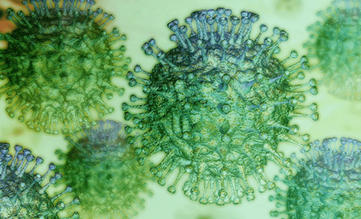 coronavirus-wimersion image-coronavirus-wimersion
